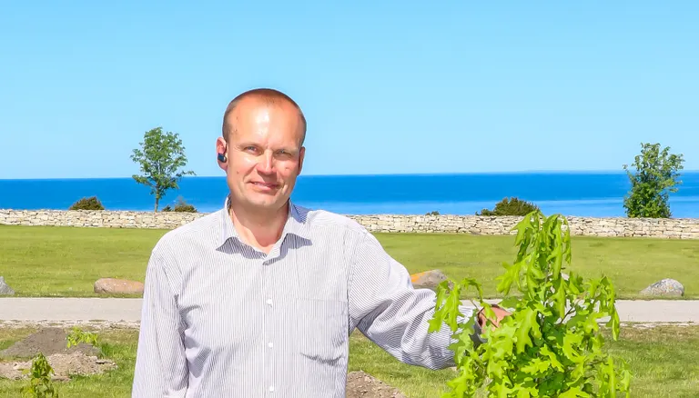 ALVER SAGUR eelmisel suvel Panga pangal, mil seal pandi mulda EV100 tammeistikud.