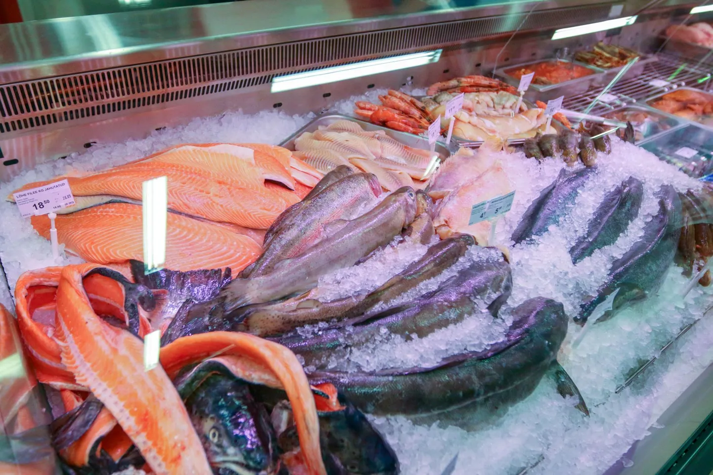 Möödunud aastal kahjustas punase kala mainet listeeriaskandaal, nüüd peavad kalakasvatajad rinda pistma koroonakriisiga.