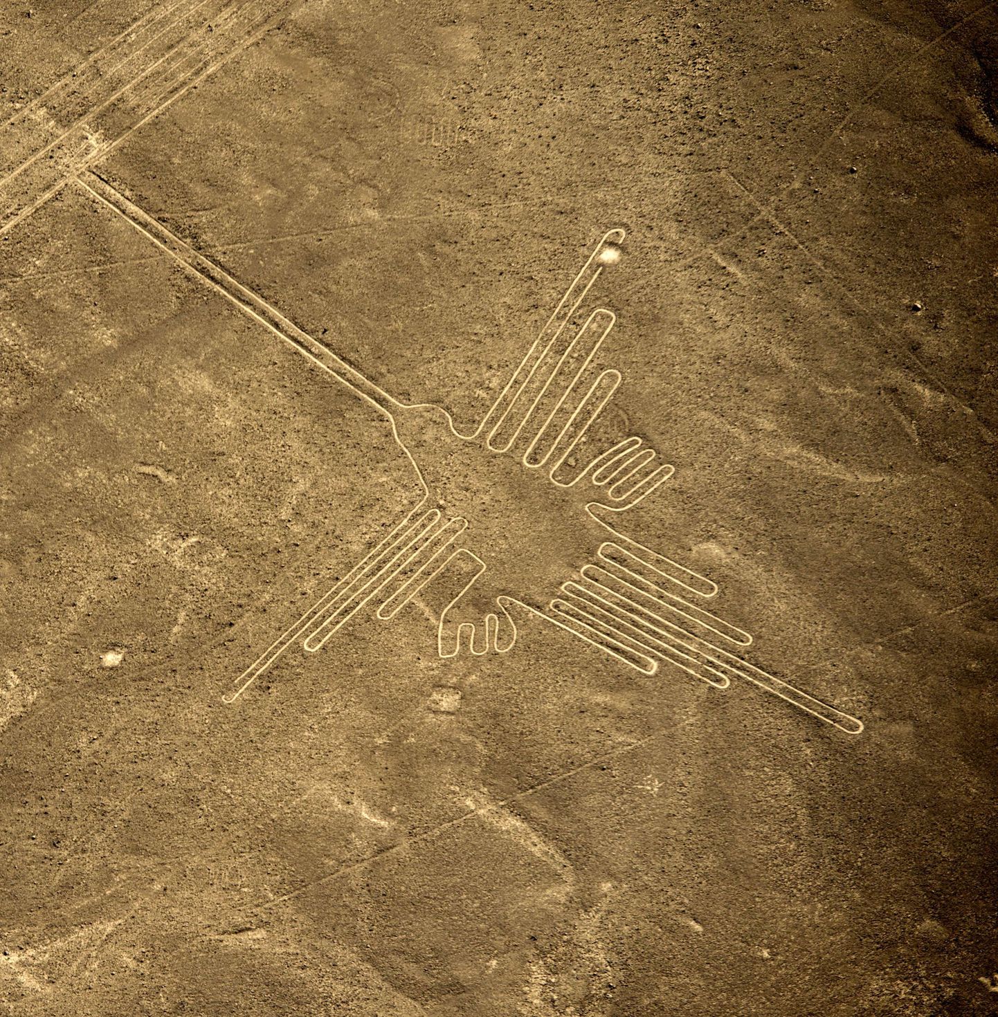 Peruu Nazca geoglüüf, mis kujutab koolibrid