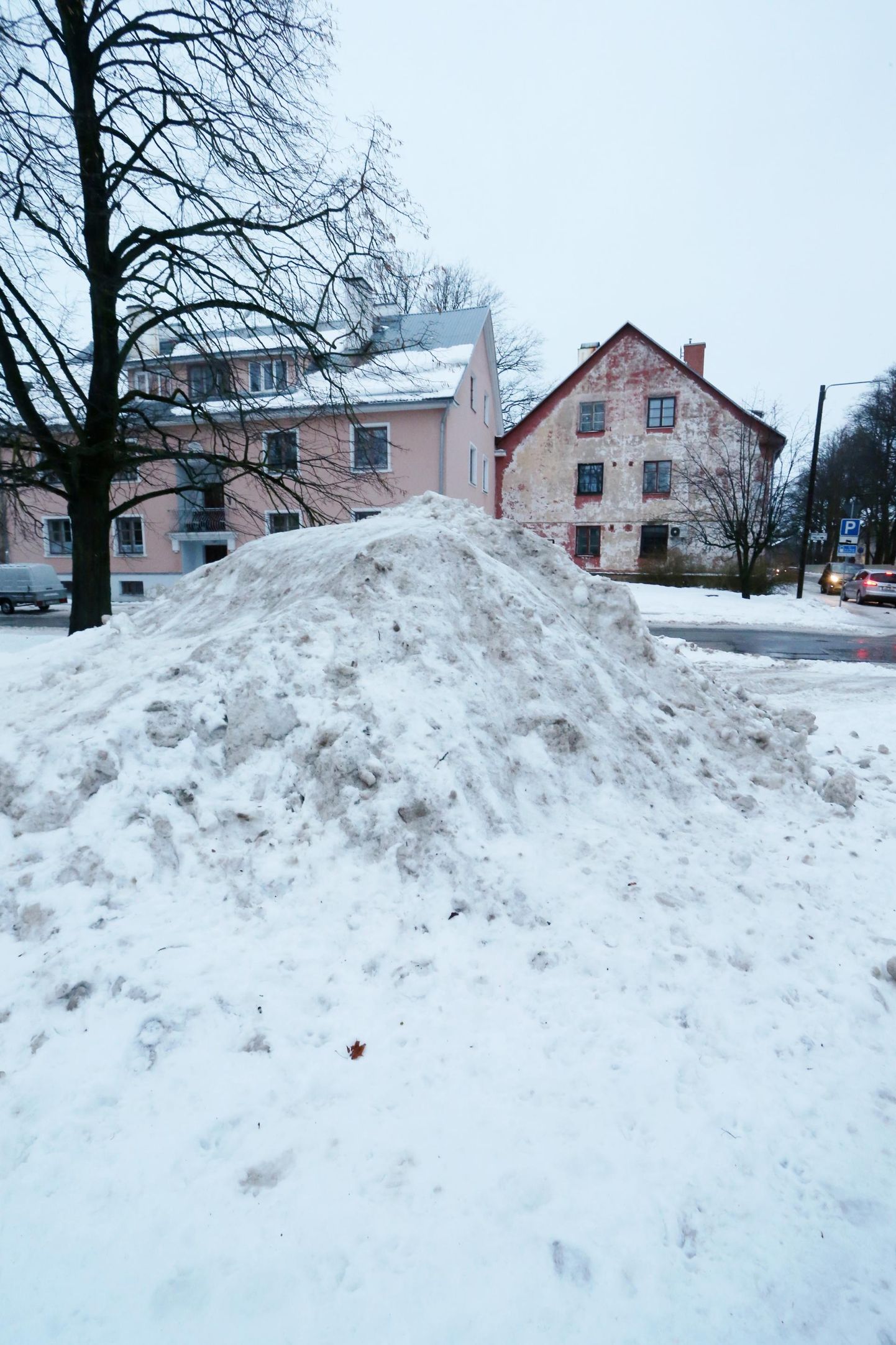 Tőnissoni ja Kooli tänava ristis on lumi kuhjatud Karupargi serva.