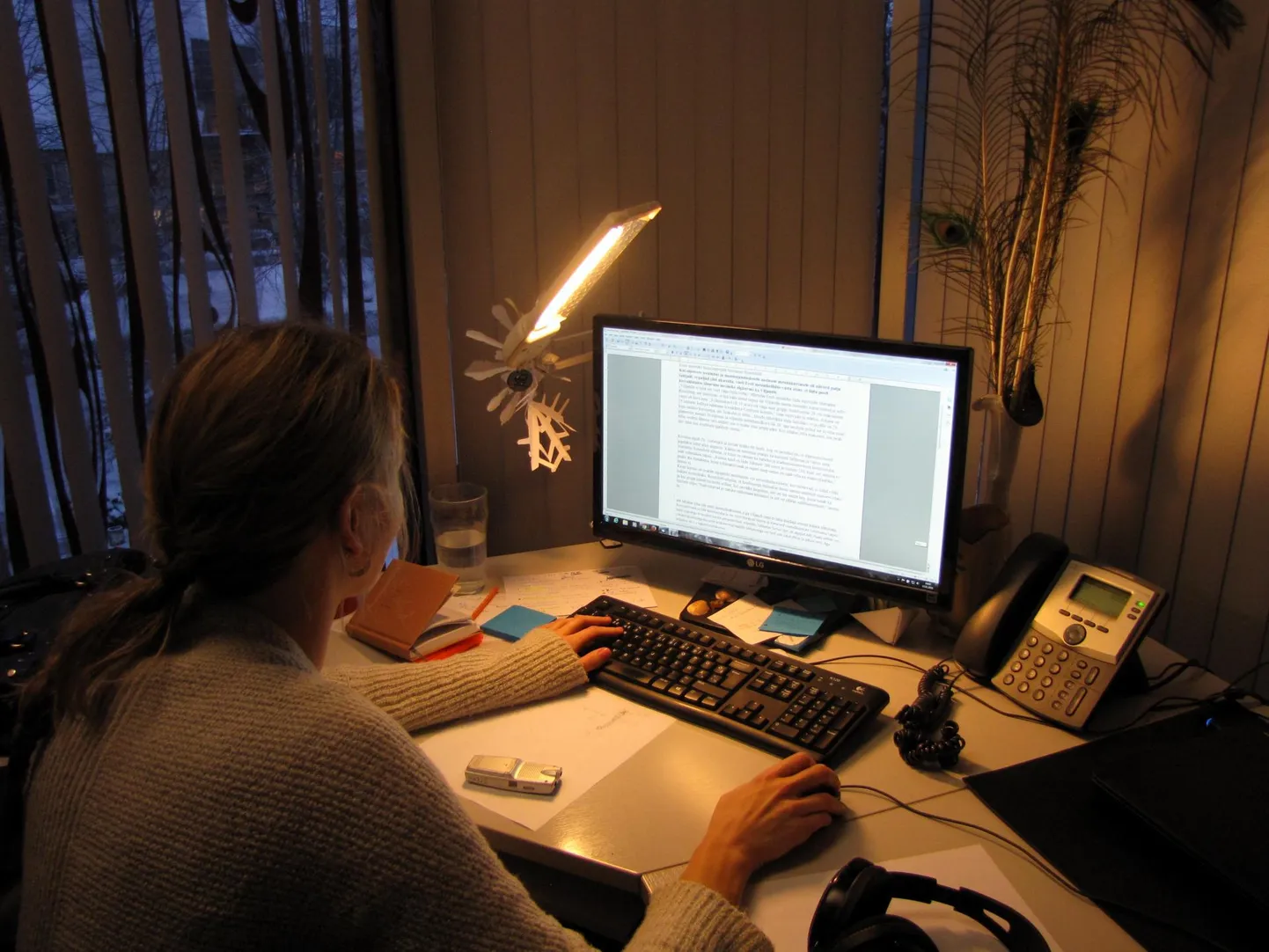 Internetist kaupu ja teenuseid ostes tasub enne veenduda pakkuja aususes.