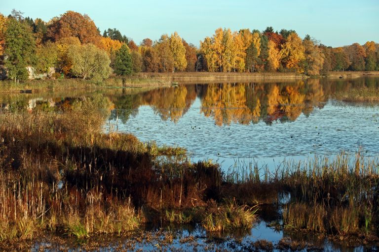 Zelta rudens dažviet Latvijā