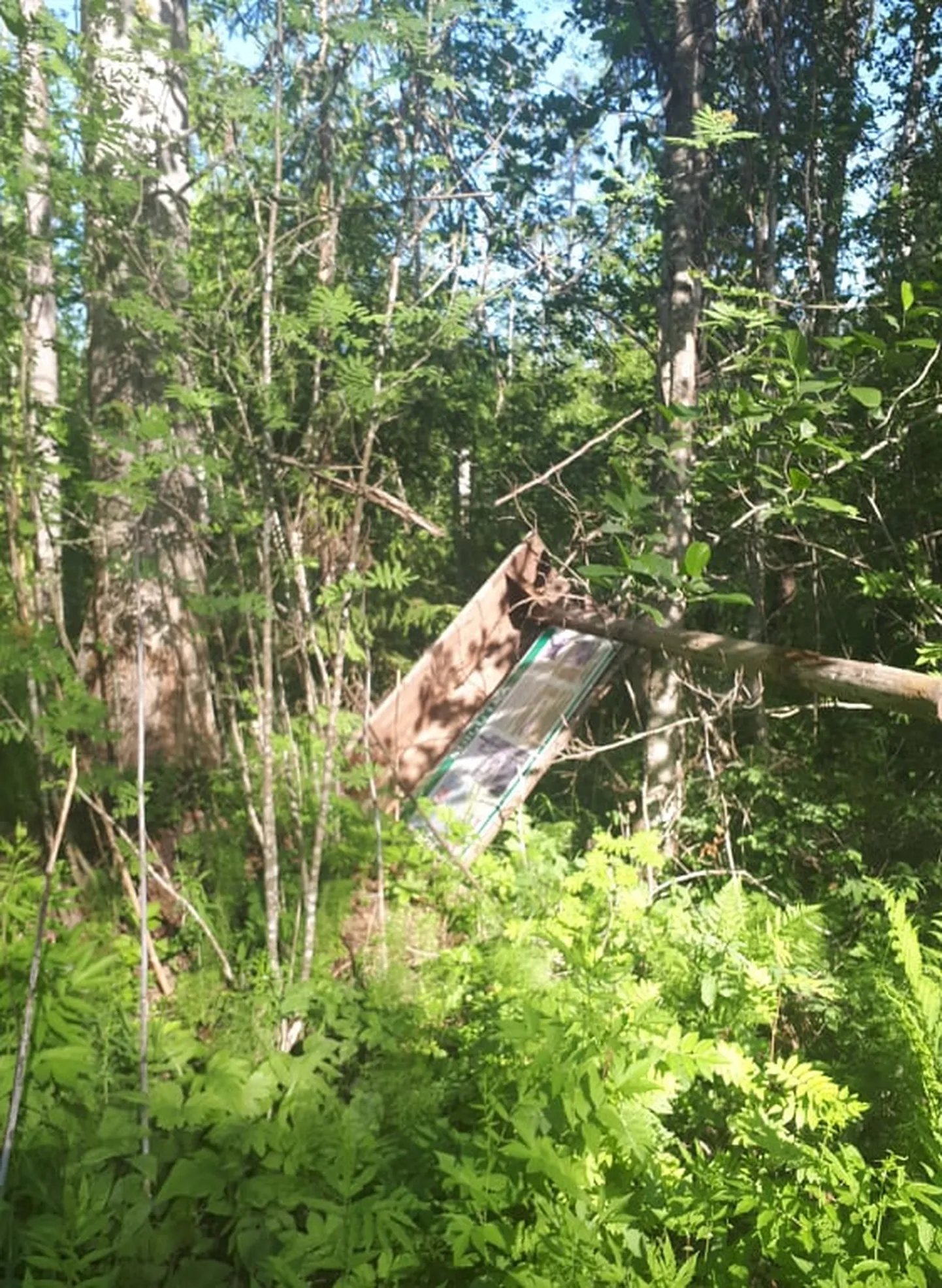 Looduskaitse ala Kirde-Eestis.