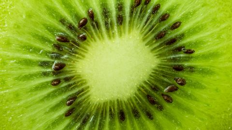 TESTS ⟩ Kas tas par augli?