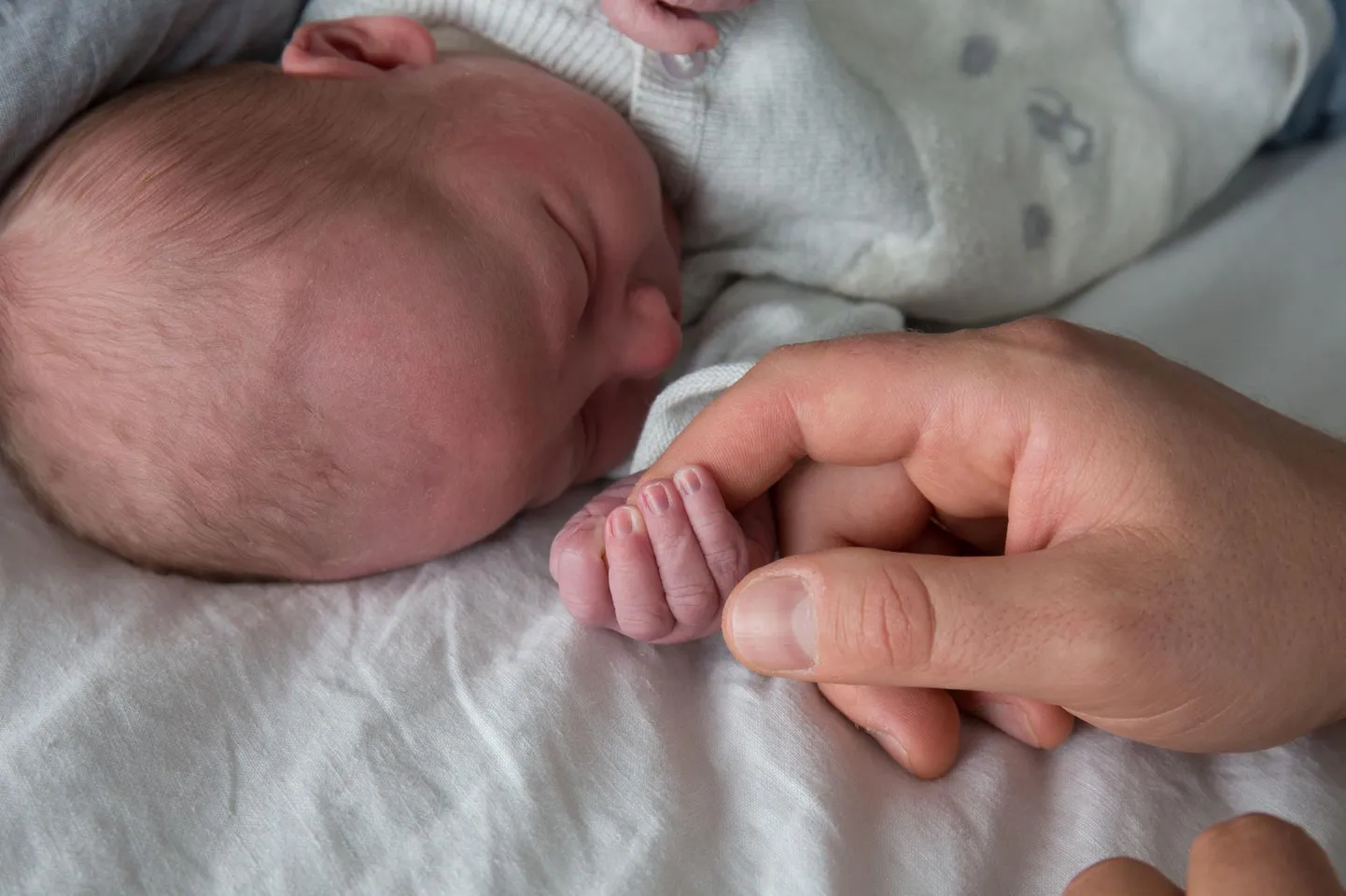 Sündide arv on sel aastal olnud eelneva aastaga võrreldes mõnevõrra väiksem.