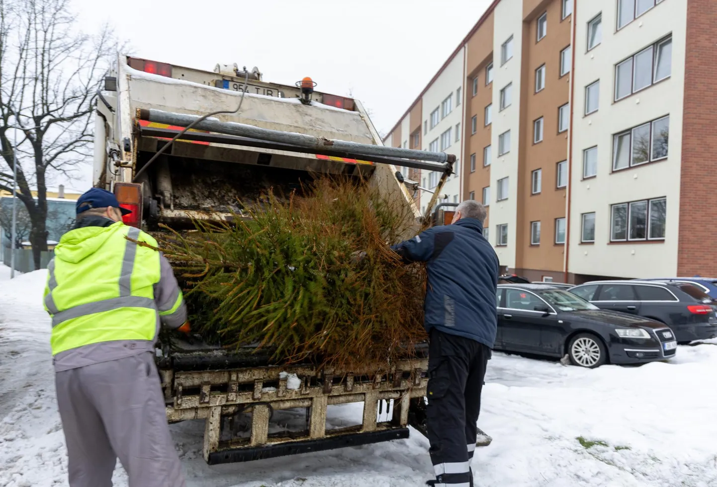 Laupäeval juhtis Vilmar Villem (vasakul) Viljandis sõidukit, mis justkui jõuluajale punkti pani. Eesti Keskkonnateenuste auto korjas kokku linlaste jõulupuud.