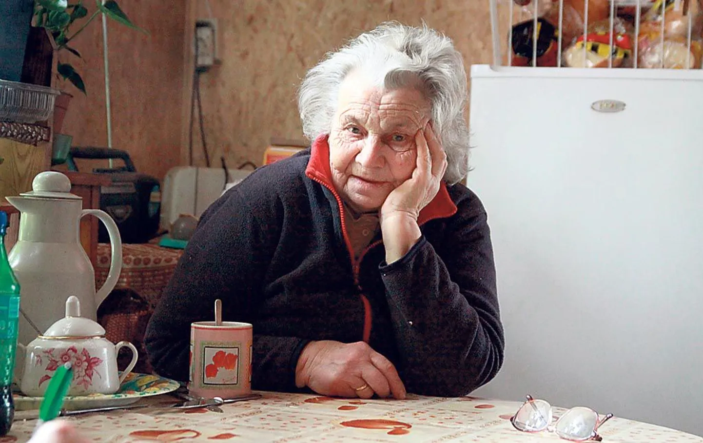 “Lapsed elavad Tallinnas, mis neil siin teha,” arutleb õpetajatöölt pensionile jäänud Milja Paldis.