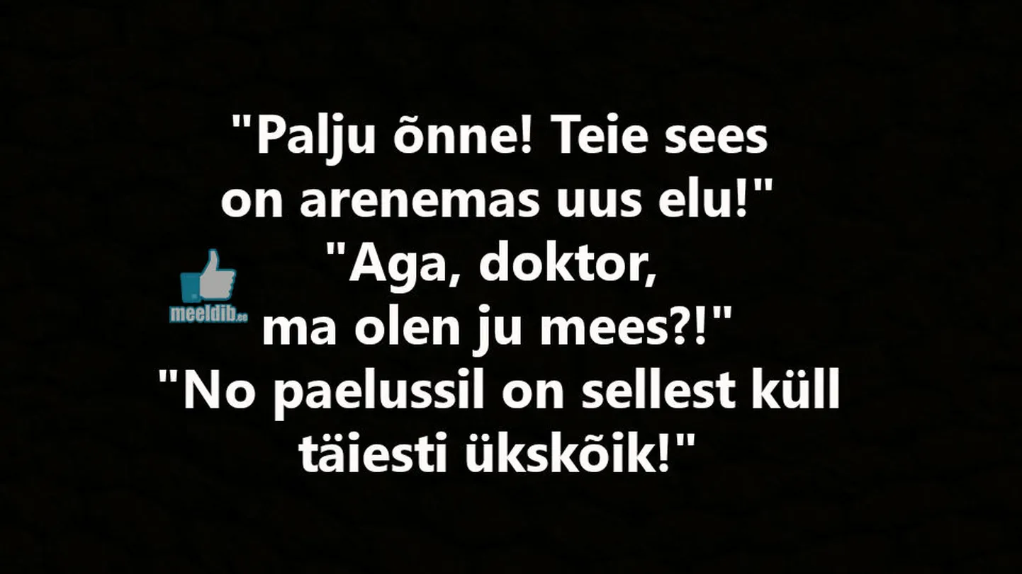 Artikli foto