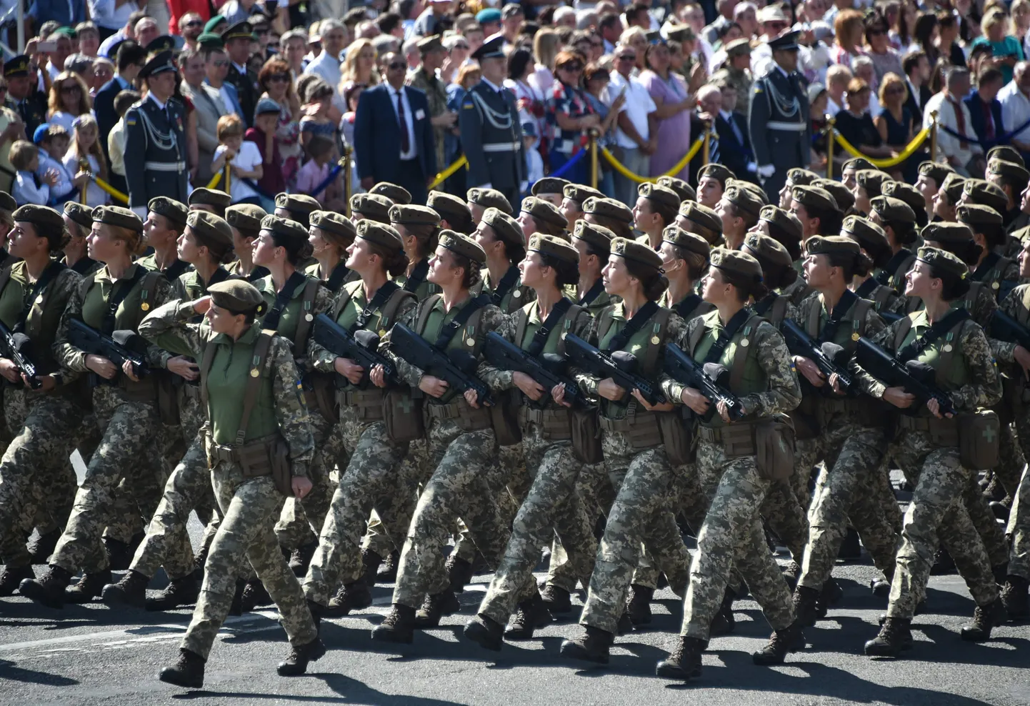 Фото статьи