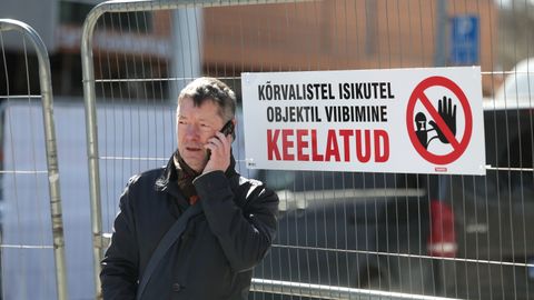 Tartu keskpark: kohus otsustab puude raie peatamisest