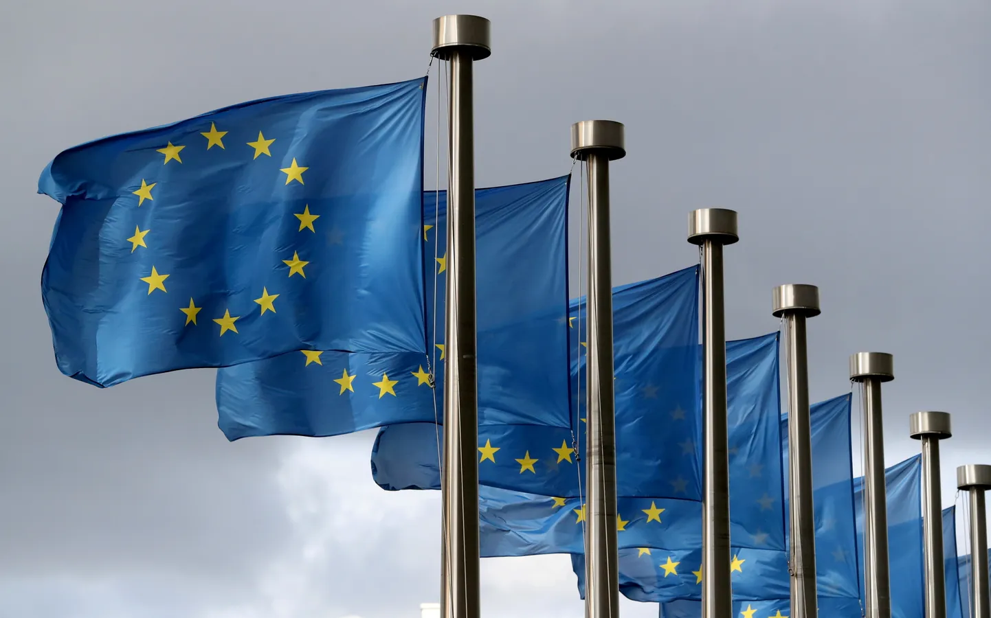 Флаги ЕС.
