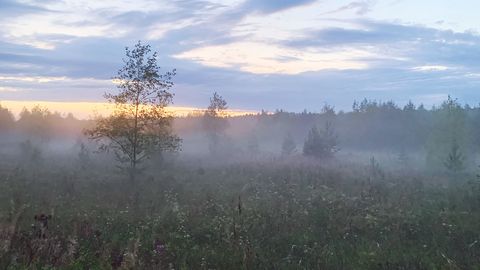 NÄDALAPROGNOOS ⟩ Imelised uksed avanevad neile, kes julgevad uksi avada: takistused puuduvad