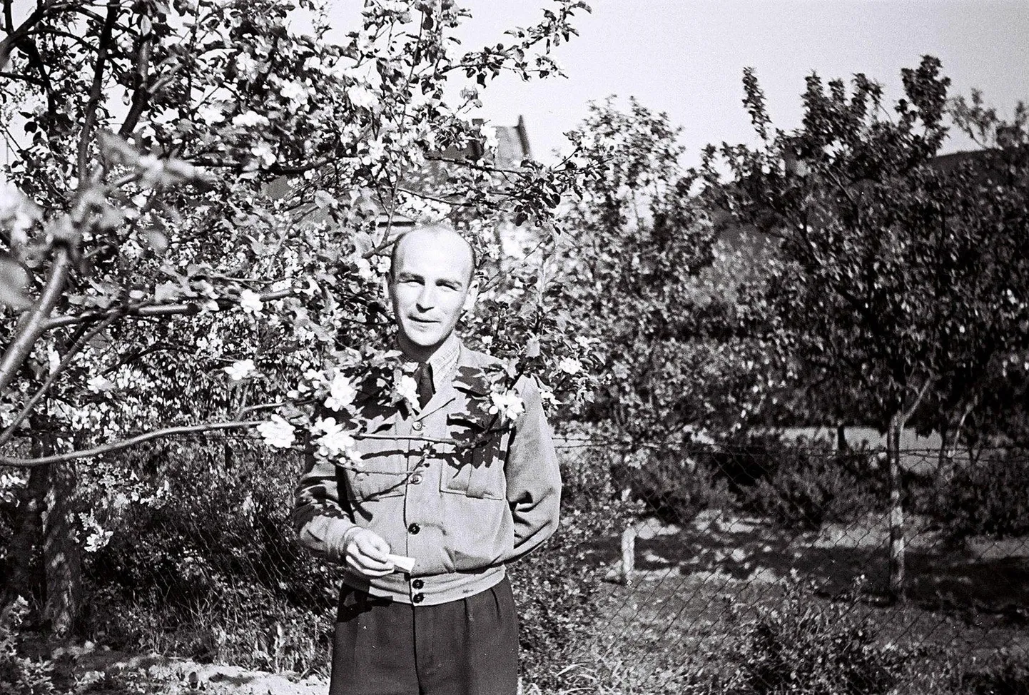 Ain Kaalep Tartus 1950. aastate alguses kirsside õitsemise aegu.