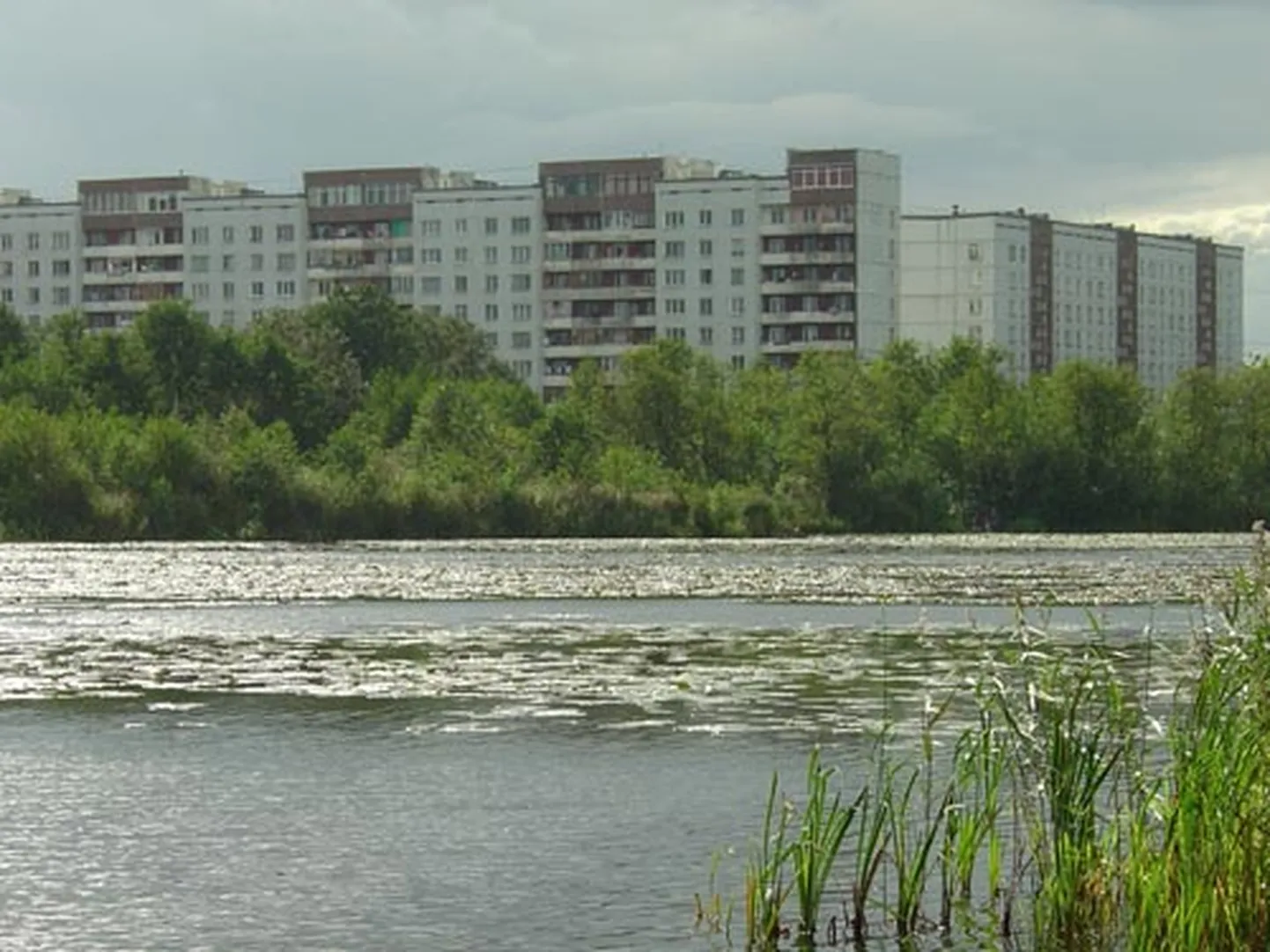 Raksta foto