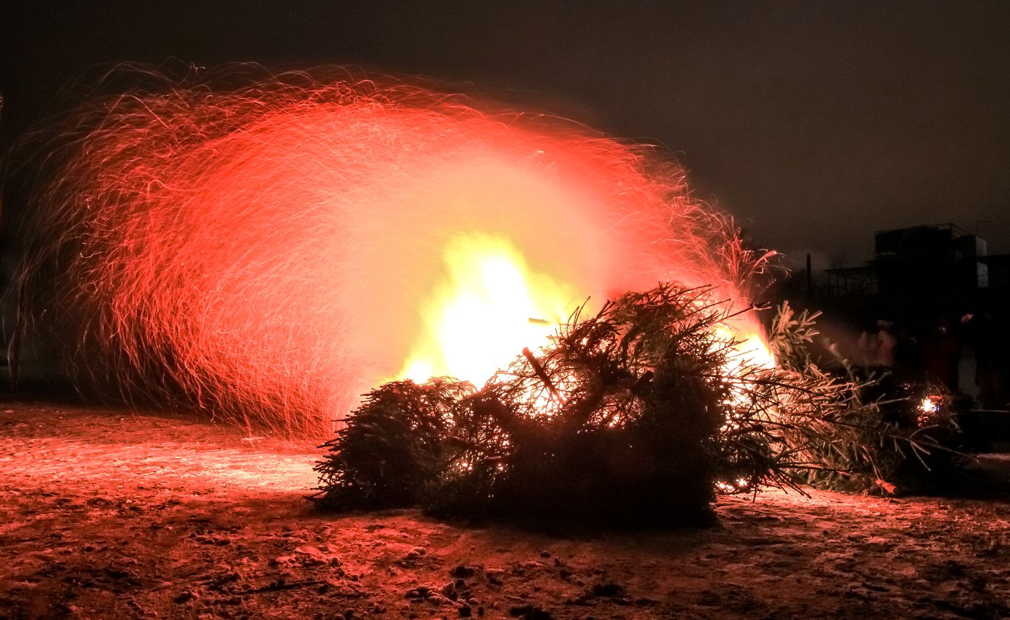 Kuuskede ühispõletamine ja nendest kumav lõkketuli on omaette sümbol, seda tehakse mitmes linnas ja alevikus.