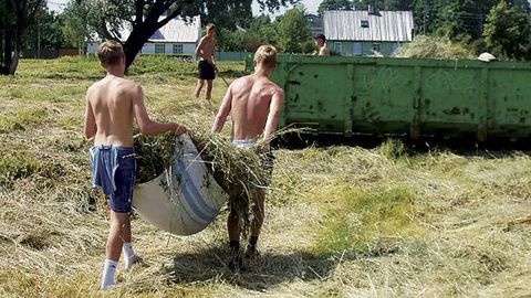 Tööinspektsioon alustas alaealiste töötamise kontrolli