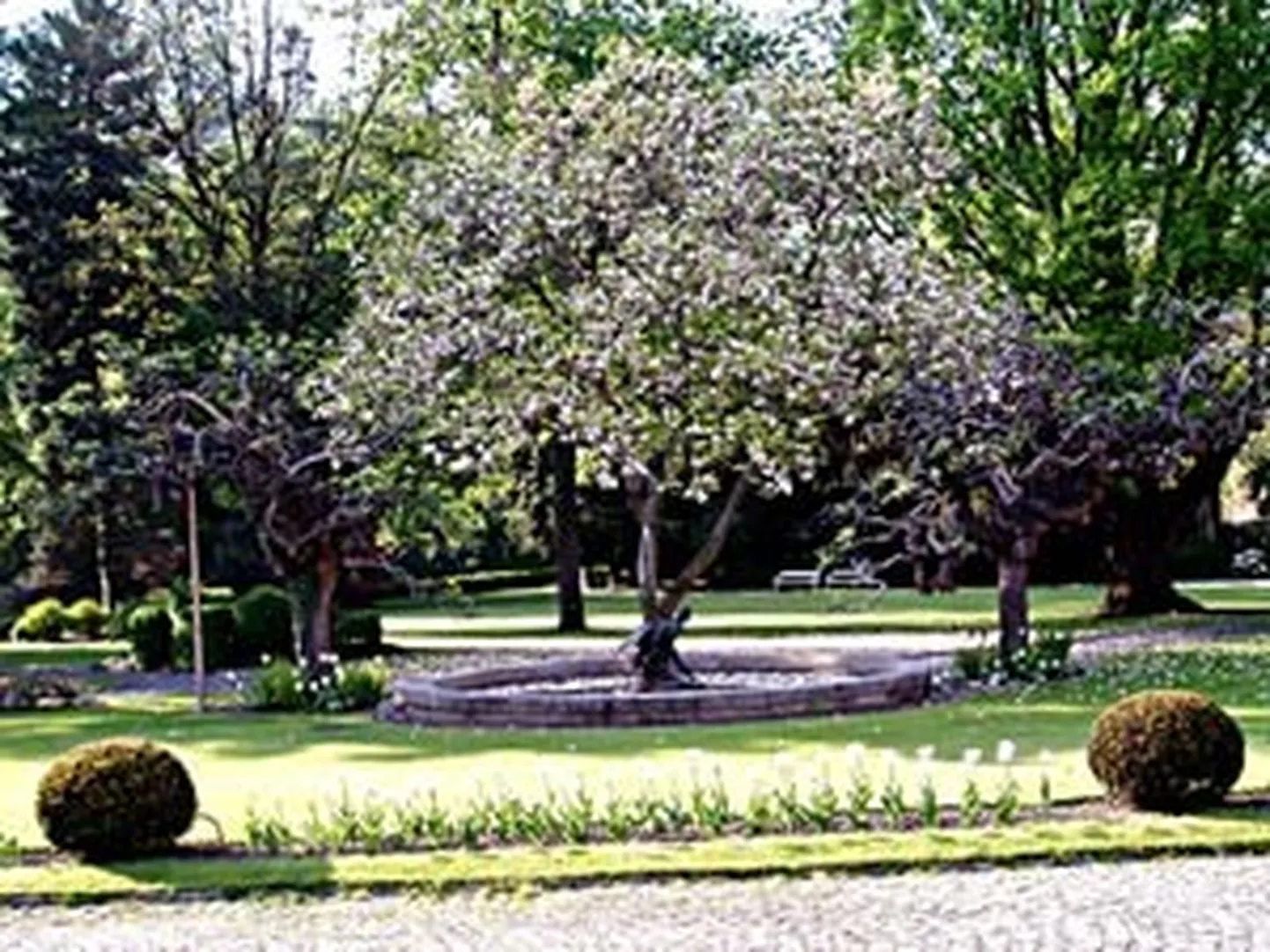 Raksta foto