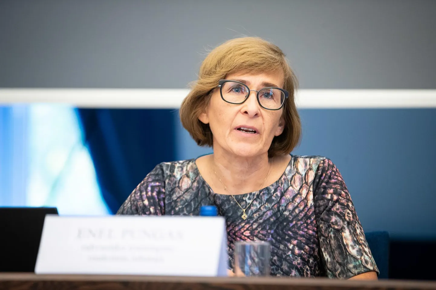 Siseministeeriumi osakonnajuhataja Enel Pungase sõnul muutub mõlemas riigis rahvastiku üle arvestuse pidamine lihtsamaks.