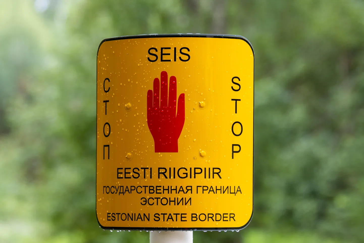 Taas tabati piiririkkuja.