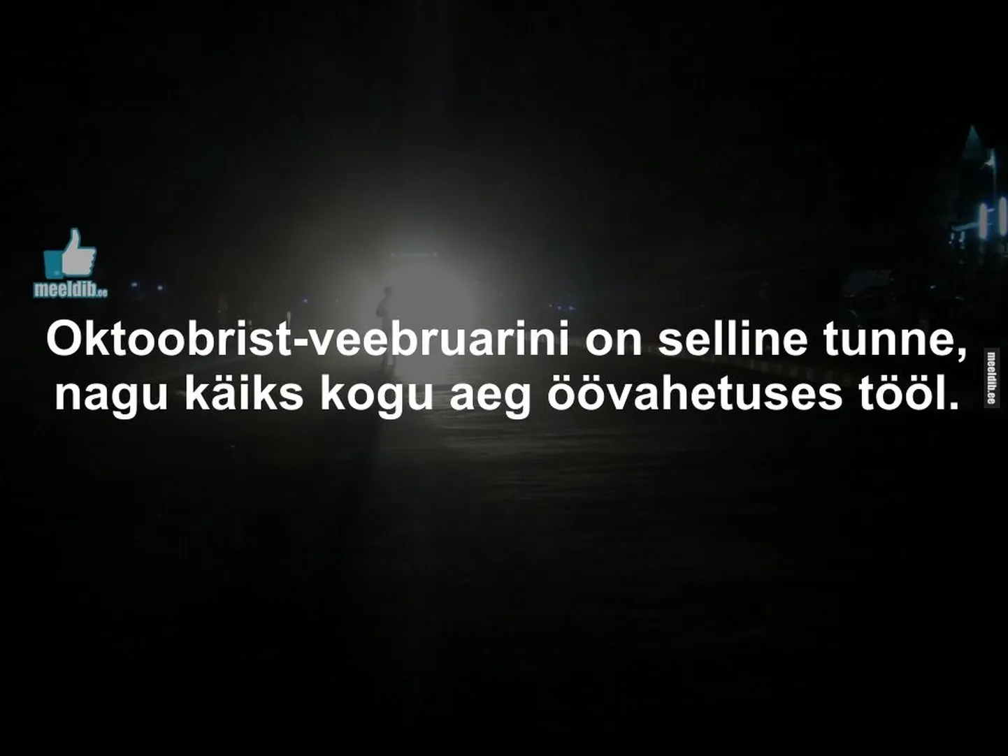 Artikli foto