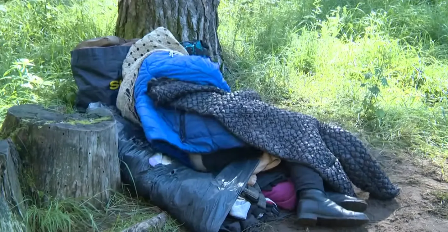 Raksta foto