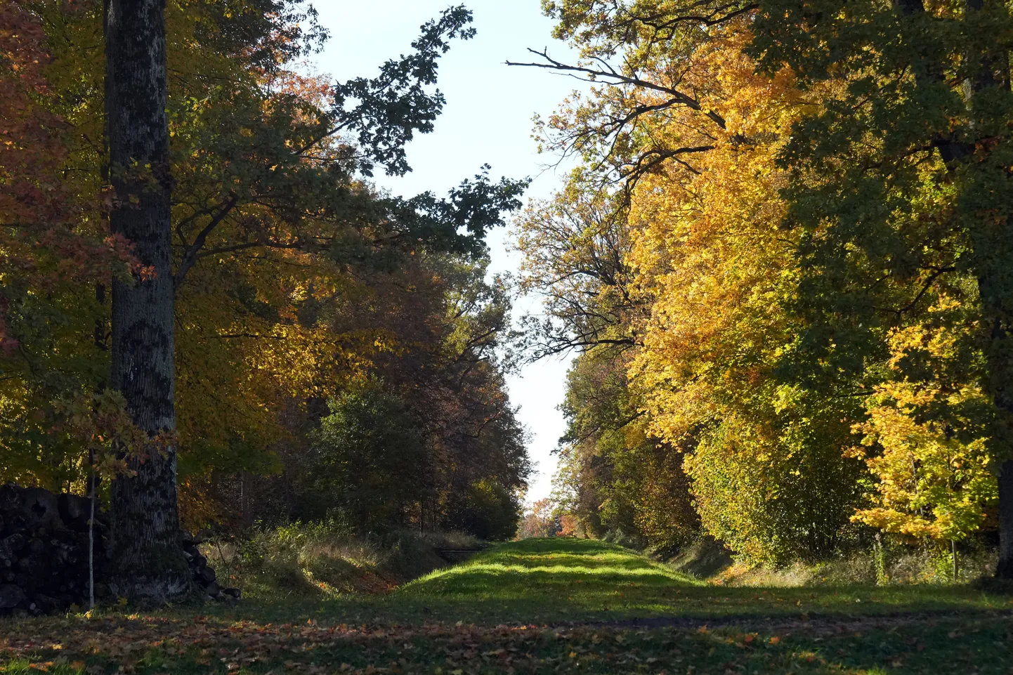 Rudens.