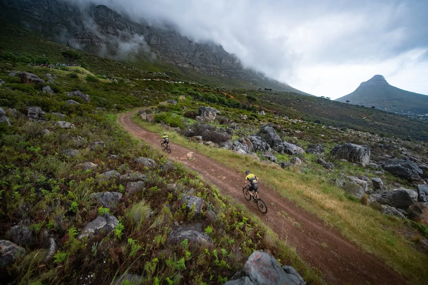 Ratturid maailma kõige mainekama maastikuratturite mitmepäevasõidu esimesel etapil kilomeetreid mõõtmas (Cape Epic).