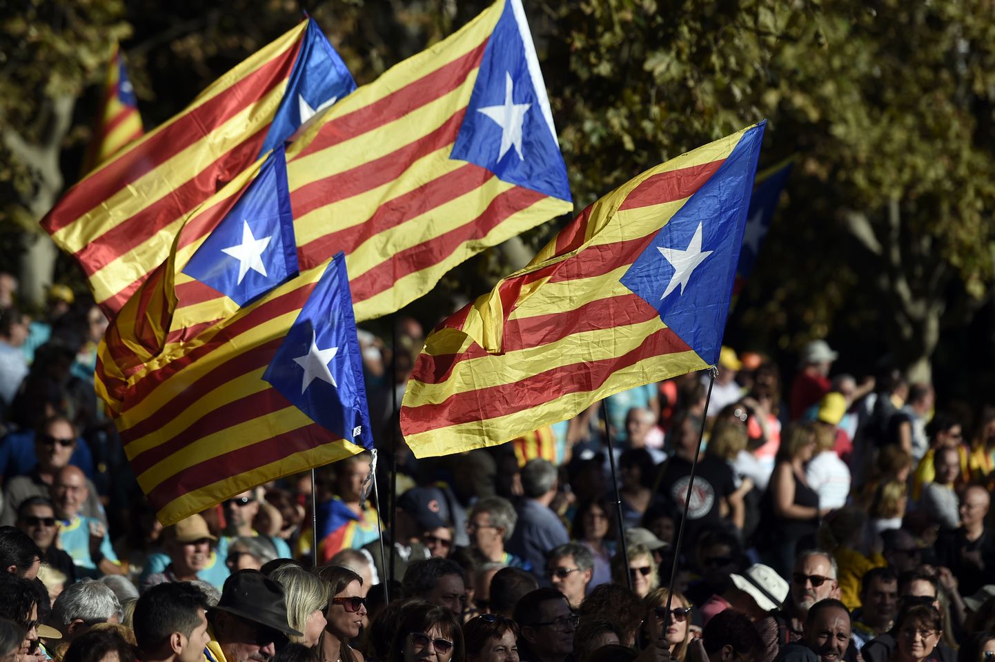 Флаги Каталонии. Иллюстративное фото.
