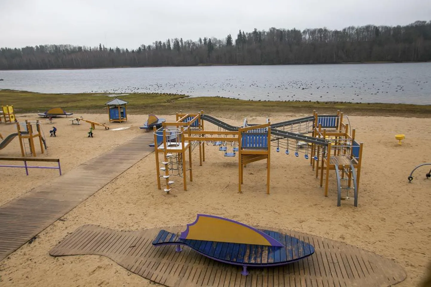 Viljandi rand paistab suurele osale seal aega veetvatest inimestest puhas ja meeldiv hetkeni, mil tekib soov ujuma minna. Vesikasvud ja muda ootavad sel juhul suvitajat juba veepiiril ning rannas on juhtunud ka õnnetusi, kus ujuja on kasvudesse takerdunud ja uppumisohtu sattunud.