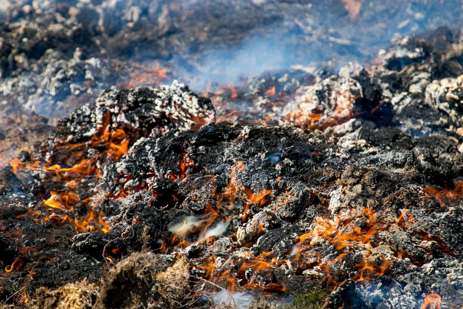 Varudi rabas on mitu korda põlenud turbaaun. Foto on illustratiivne.