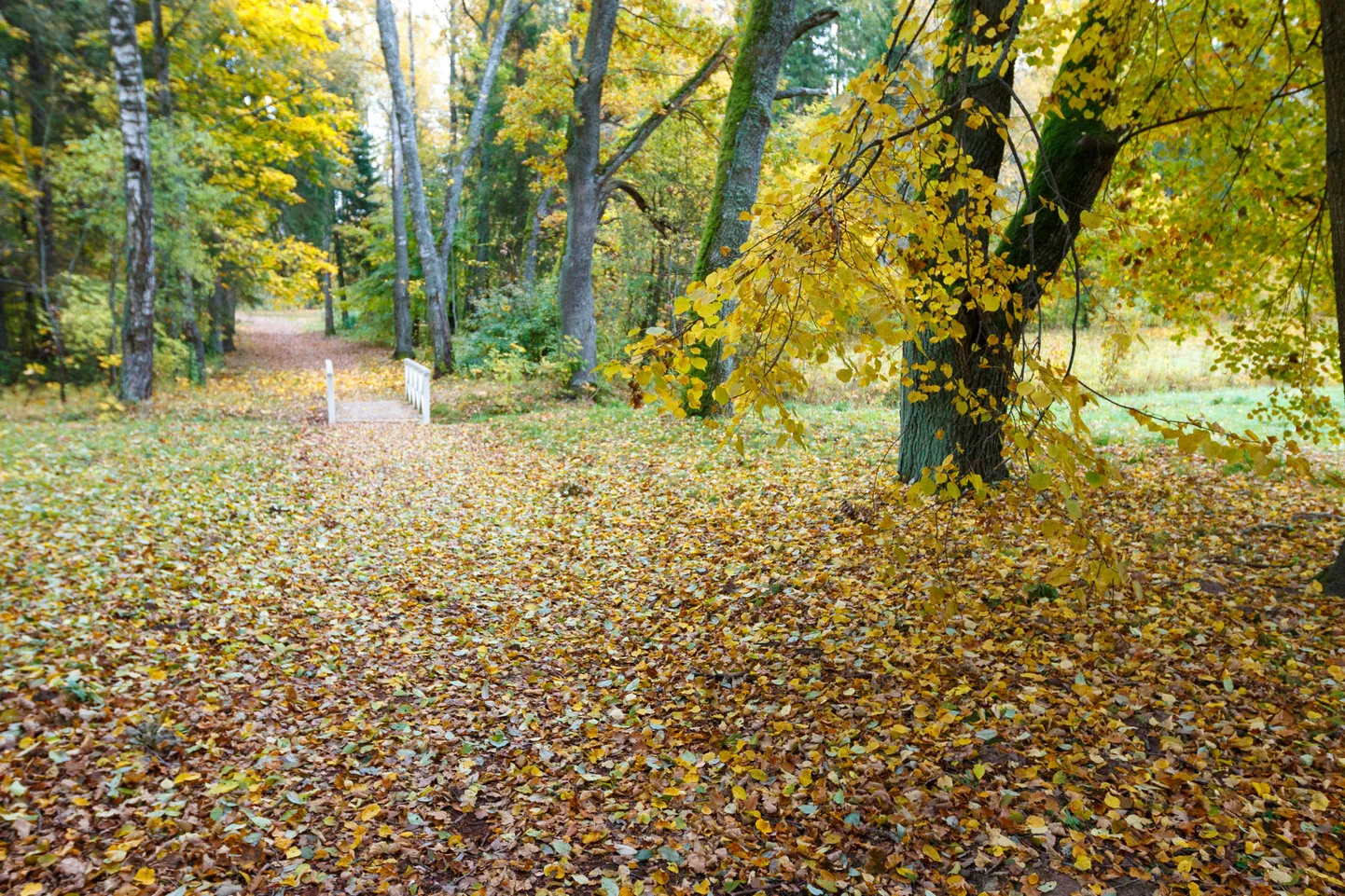 Hummuli mõisapark