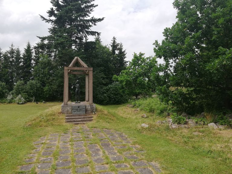 Ainer Tiitsoni sõnul sai Tornimäe kalmistu korrastatud esimesel võimalusel.