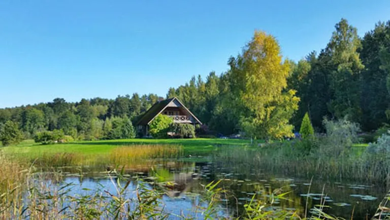 Raksta foto