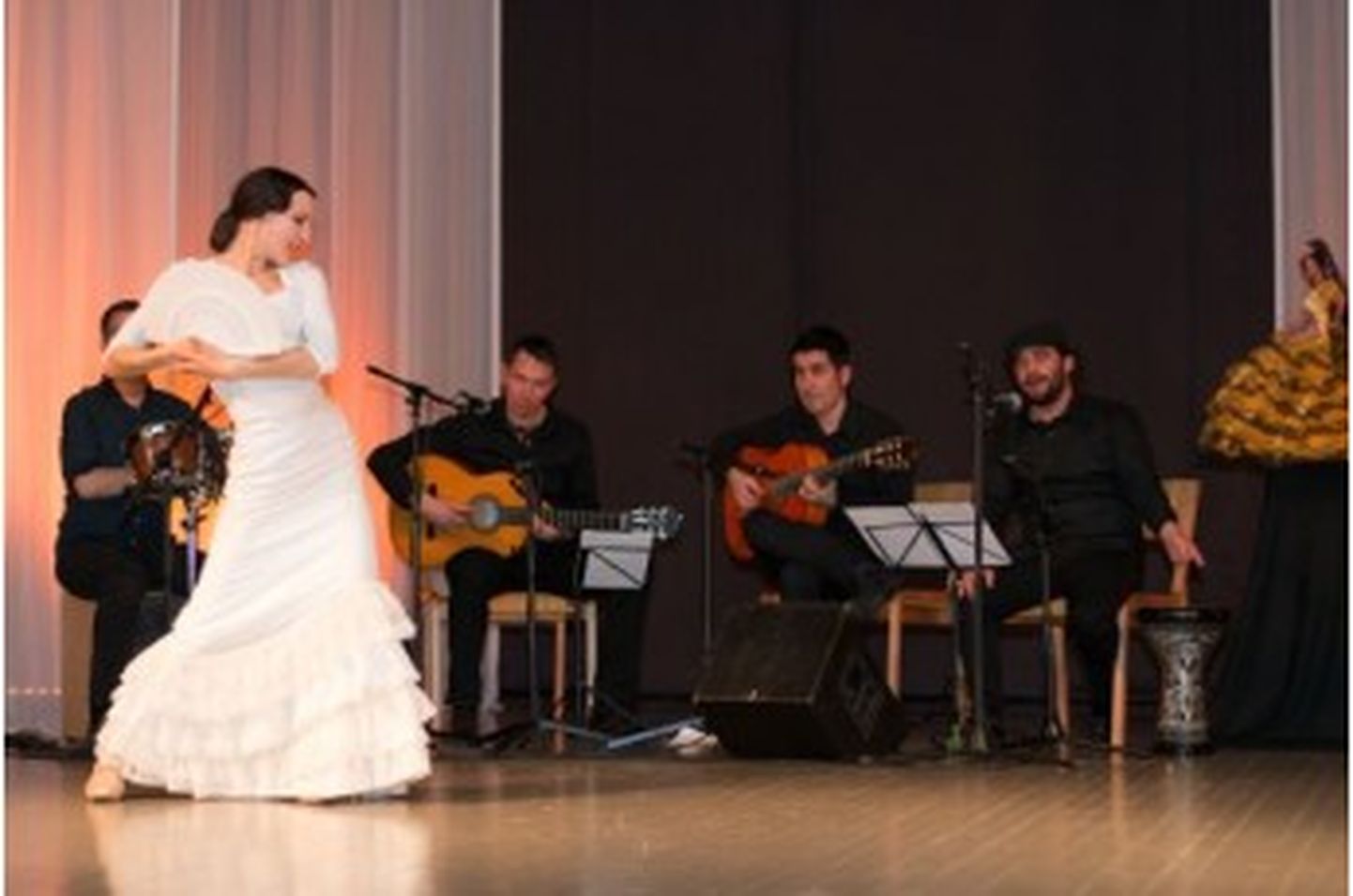 Flamenkokvintett Castaño kontserdil on flamenkotantsu ja -laulu ning kitarri- ja kahonimängu hispaanlasest, venelasest, ungarlasest, kuubalasest ja eestlasest noore artisti tunnetamise ja tõlgendamise kaudu.