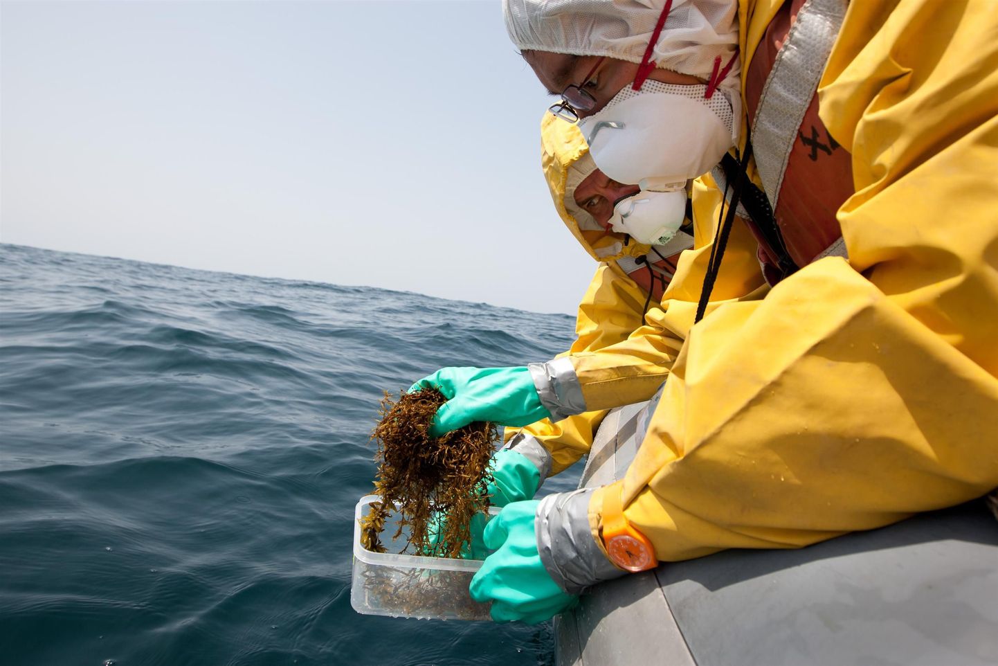 Greenpeace'i uurijad kogusid mai alguses radiatsioonitaseme testimiseks Jaapani idaranniku vetest adrut.