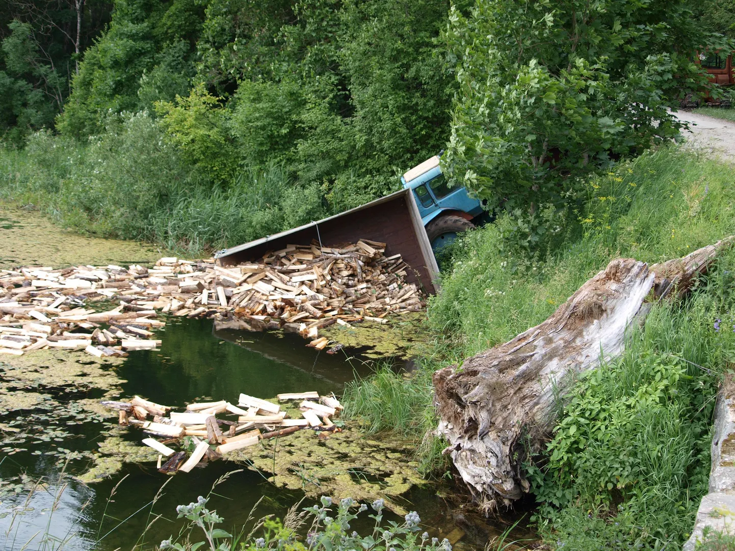 Küttepuid vedanud traktor vajus järve.