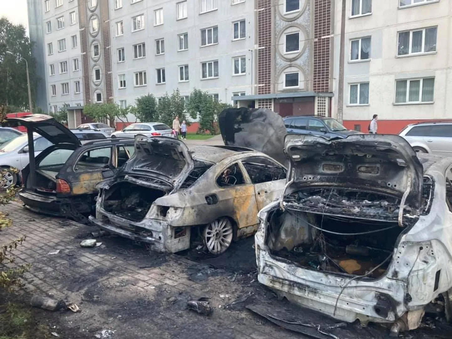 Фото статьи