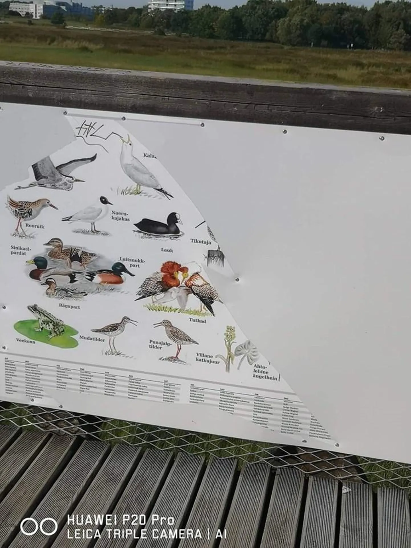 “Kes ja miks nii teeb?” küsib Pärnu ranna linnuvaatlustornis lõhutud infotabelist pildi postitanud kodanik ühismeedias.