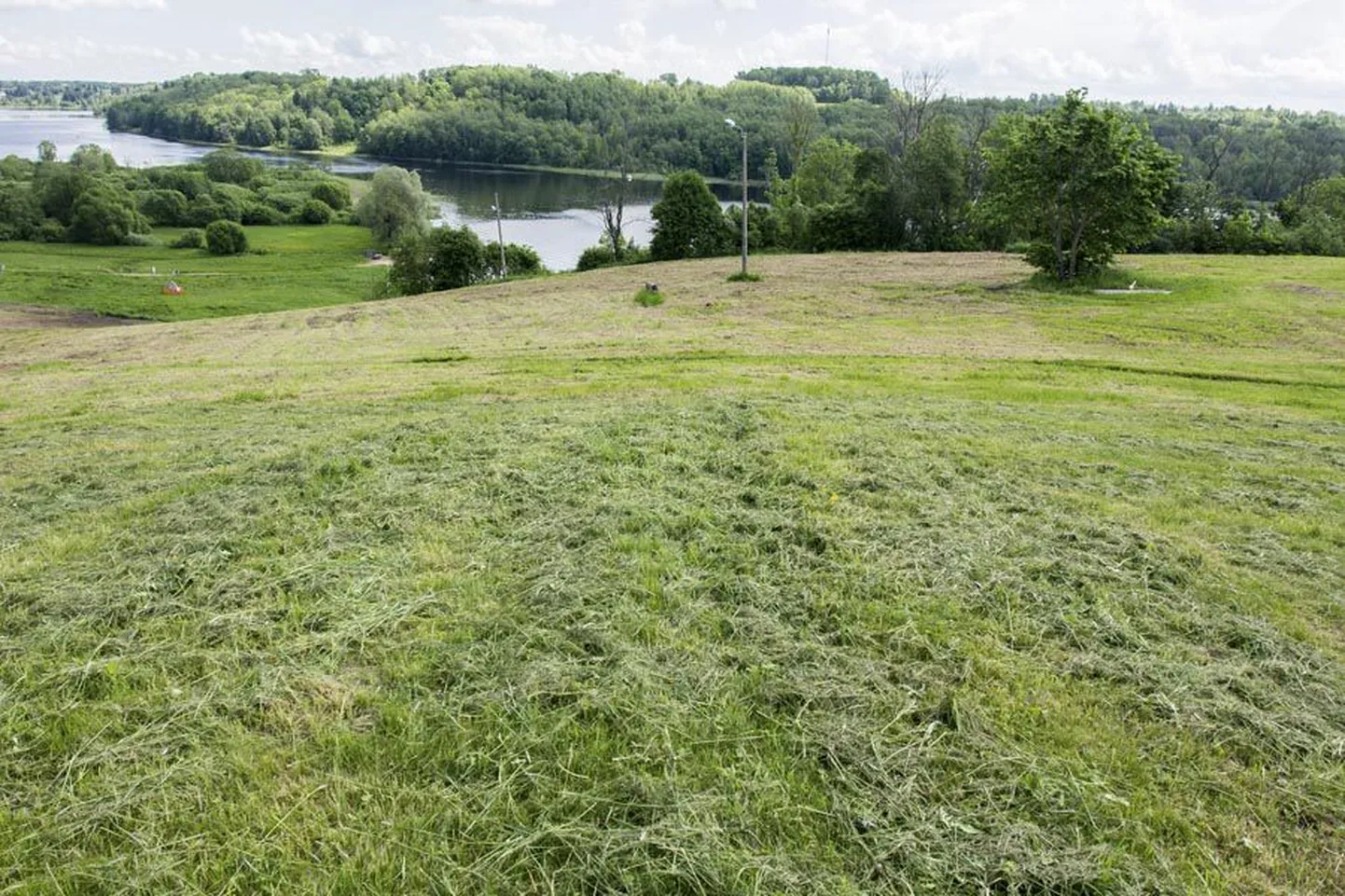Üks nominetides on Viljandi maastikukaitseala kaitsekorralduslike tööde elluviimine.