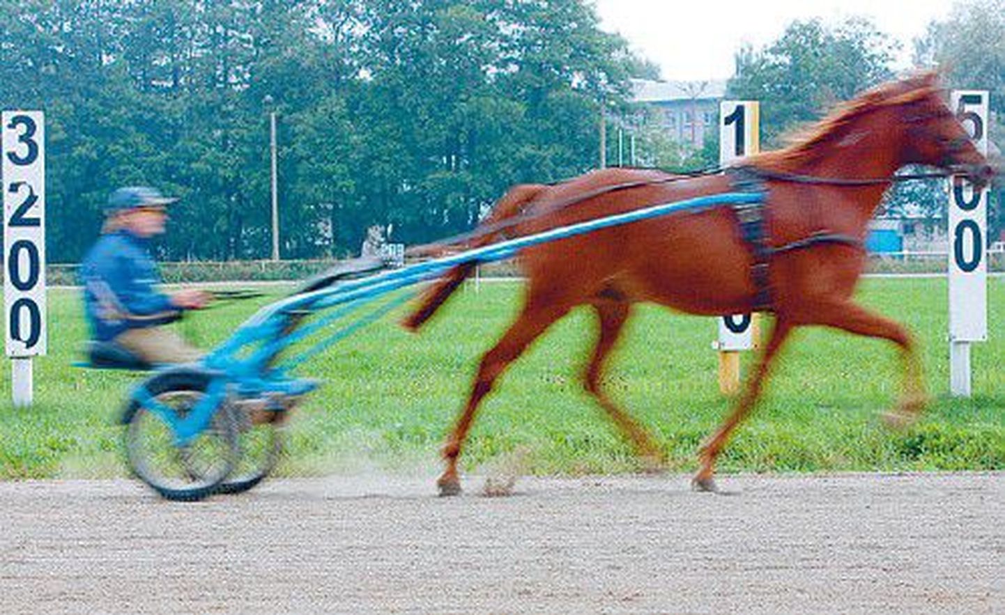 По словам владельцев, на новом ипподроме условия для содержания и тренировки лошадей, а также для проведения соревнований будут заметно лучше прежних.