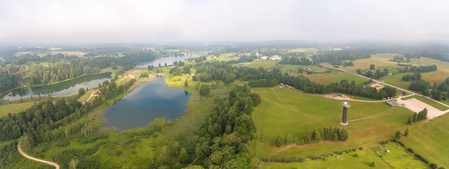 Rõuge ööbikuorg.