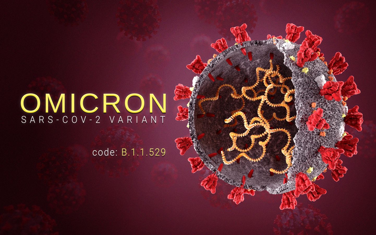 Uue koroonaviiruse SARS-CoV-2 omikrontüvi levib maailmas väga kiiresti