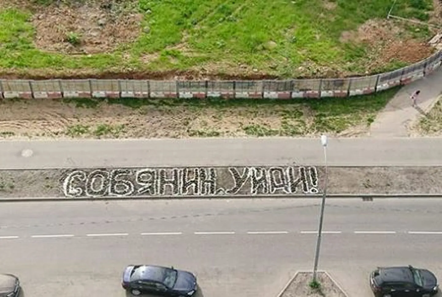 Фото статьи