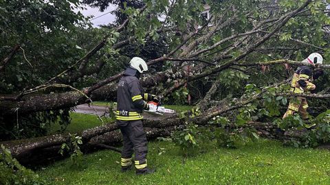 Päästjad tegelesid murdunud puude ja põlenud sõidukiga