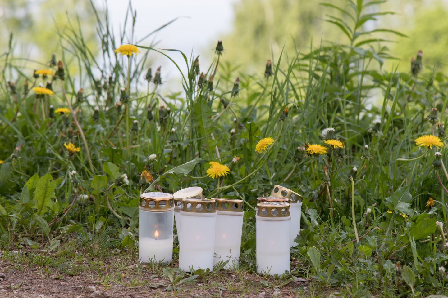 Viljandi järve terviseraja äärest surnuna leitud neiu mälestuseks süüdatud küünlad.