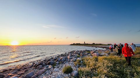 Pärnu linn tahab väikesaarest muinsuskaitseala teha