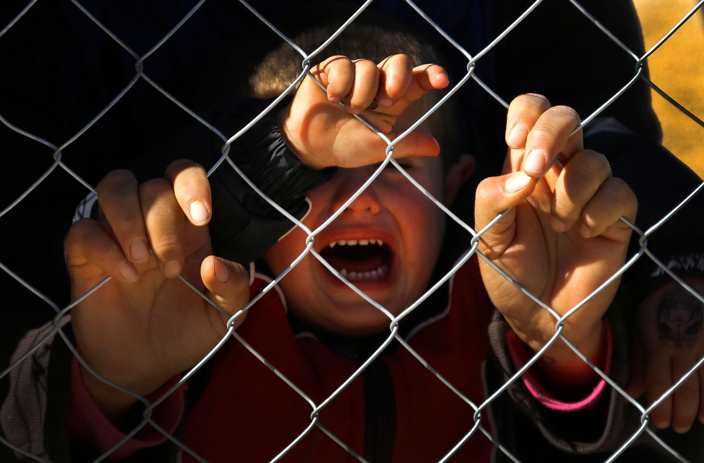 FILE PHOTO -  A Kurdish refugee child cries as he and others wait inside a fenced refugee camp to pay their last respects to a Kurdish fighter killed during the battle for Kobani against Islamic State, in the border town of Suruc, Sanliurfa province November 7, 2014.  REUTERS/Yannis Behrakis/File Photo