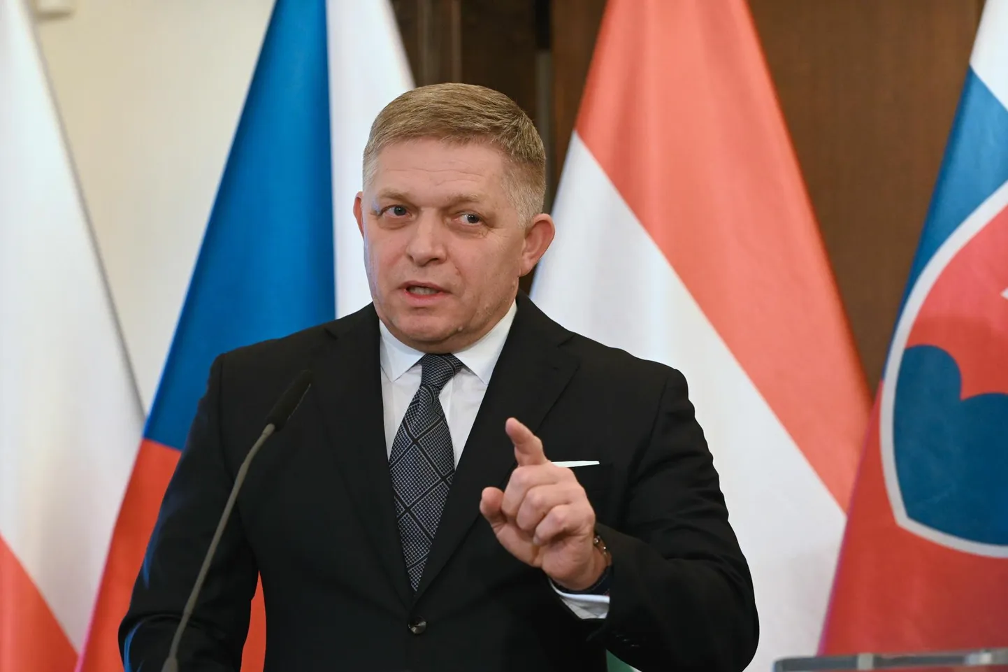 Slovakkia peaminister Robert Fico on lubanud teha elu kibedaks valitsusvälistel organisatsioonidel, mida ta süüdistab katses valitsust kahjustada.