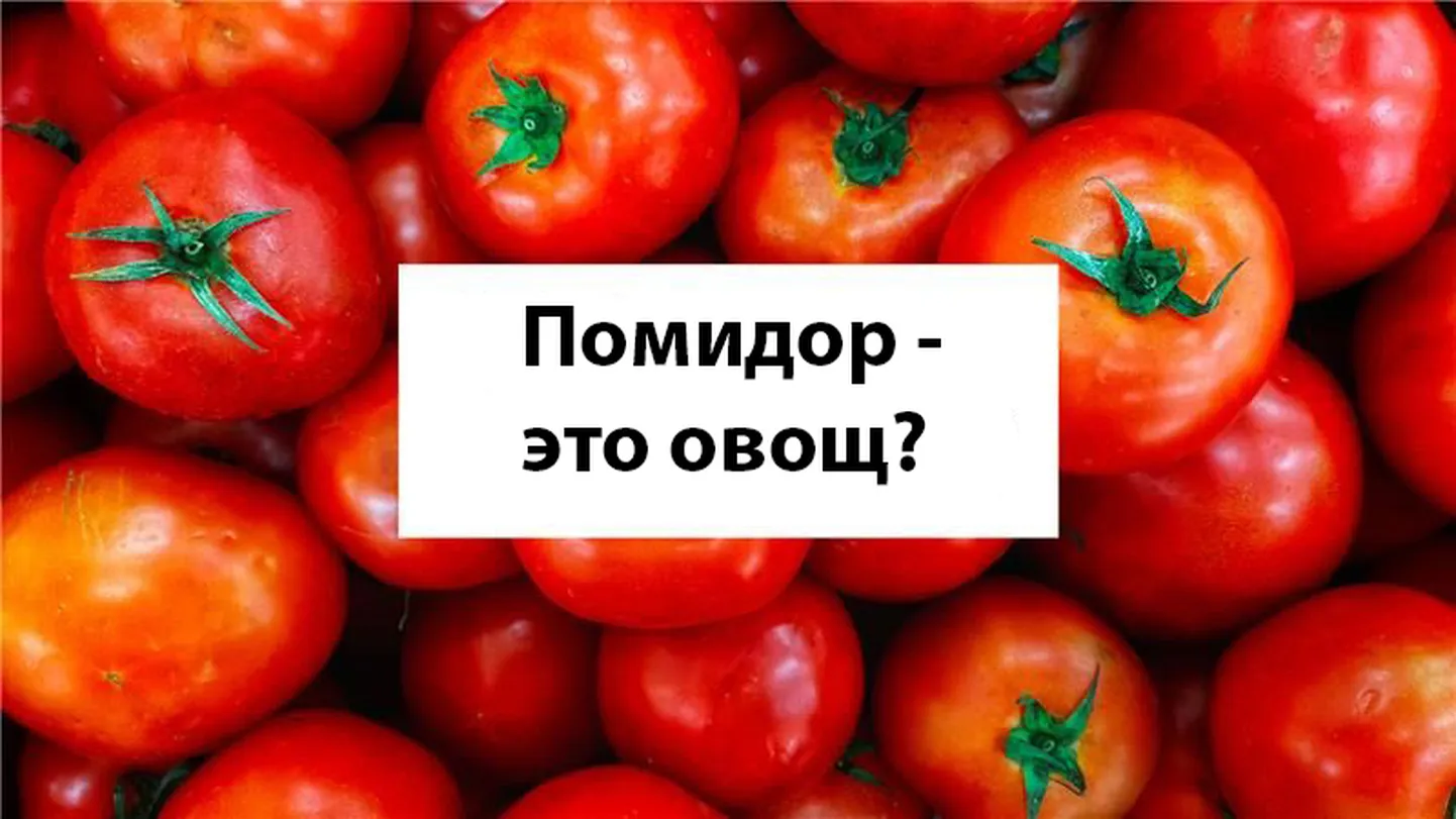 Фото статьи