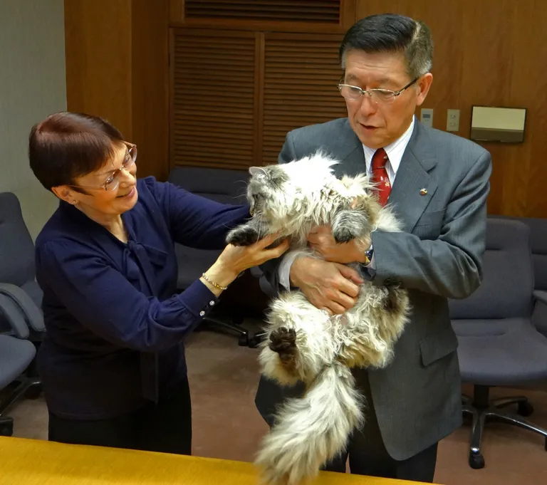 Akita prefektuuri kuberner Norihisa Satake Putinilt kingiks saadud Siberi kassiga Mir.